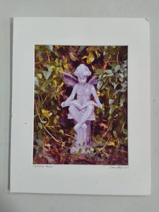 Garden Fairy Signed by Sean Harding