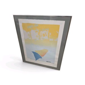 Signed  Numbered and Framed Artwork