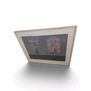 Signed and Framed Artwork