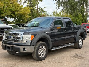 2013 FORD F-150 XLT 4x4  5.0L Motor  No Accidents Reported (NO RESERVE)