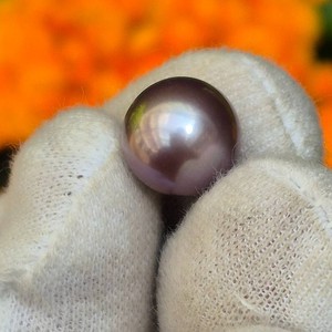 11.69mm AAA Edison Pearl