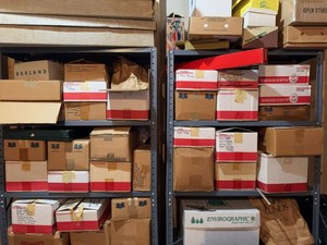 Assorted Childrens Books in Author-Labeled Boxes Scholastic & More