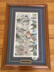 Mark Daehlin Feathered Friends I Framed Bird Print Wildlife Wall Art