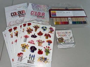 Lot of Adult Coloring Books Craft Cutouts & Colored Pencil Set