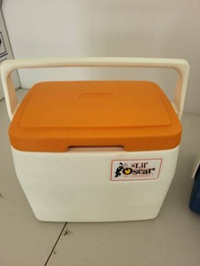 Vintage Personal Coolers Coleman Lil Oscar & Igloo Lunch Cooler