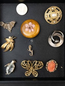 Assorted Costume Jewelry Brooches & Pins