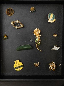 Mixed Vintage & Costume Brooches and Pins