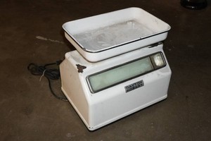 Dayton Hobart Commercial Electric Scale