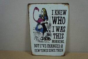 Vintage Style Metal Sign - I Knew Who I Was This Morning
