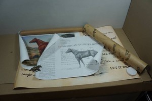 Horse Prints and Belt Buckle