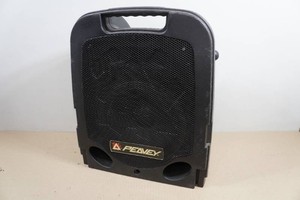 Peavey Escort Portable PA System