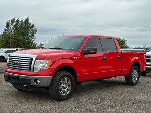 2011 FORD F-150 XLT 4x4  No Accidents Reported  5.0L Motor (NO RESERVE)