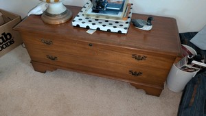 vintage princess by Lane cedar chest. excellent condition