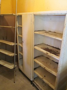 Vintage metal pantry cabinets (one with single door, one without doors) plus metal multi-tier ladder style plant stand