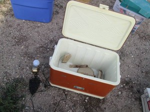 Vintage Grain Belt wall lamp and Vintage Thermos brand cooler