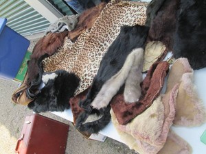 Small tote of assorted vintage fur hides