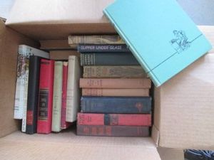 Box of vintage books including the Lone Ranger, the Flames of time and other great titles