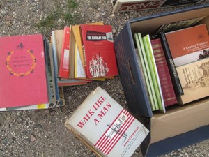 Lot of vintage war and history related books