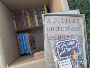 Vintage books including the Hardy Boys, Cherry Ames, Boxcar Kids and more