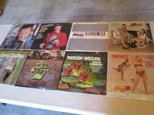 Collection of records with artist name starting D Danny Davis, Dave Boyer, Dave Dudley, David Carroll