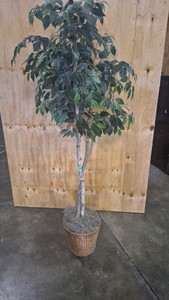 artificial tree