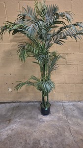fake plant