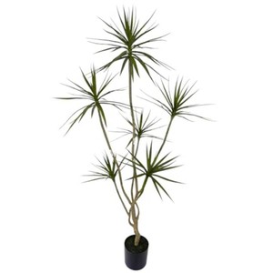 $130 AfanD Artificial Dracaena marginata Plant 6ft Tall Indoor Tree   6 flower heads Premium Realistic Leaves Independent designer model  effectively enhancing the aesthetic appeal of the space