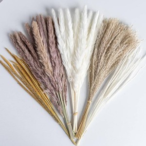70PCS Natural Dried Pampas Grass Boho Home Decor Bouquet Phragmites Dried Flowers Bouquet for Wedding Floral Arrangements Living Room Decorations (70PCS)