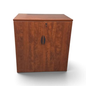 Locking Storage Cabinet with Adjustable Shelves