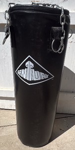 Century Wave Punching Bag
