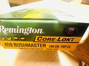 Remington 450 BUSHMASTER 260 gr PSP CL