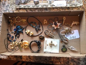 Necklaces, pins, elephant bracelet