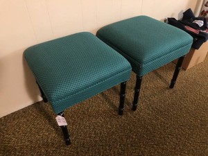 (2) Matching upholstered stools