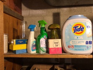 Tidepods, bleach, sponges, other house cleaning supplies all on shelf