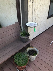 Flower pots and hanging bird bath ( bracket not included)