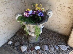 Cement flower pot and rocks