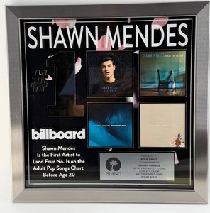 Framed Shawn Mendes Billboard Commemorative Display - 18 X 18 in