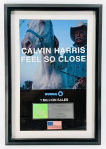 Calvin Harris - Feel So Close - RIAA Platinum Sales Award Plaque