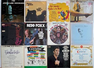 Im John Lee Hooker Mixed Vinyl Record Album Collection including Im John Lee Hooker (Lot of 12)