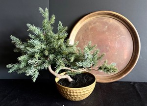 MT - Serving Tray - Vintage Solid Copper & Opalhouse Greenery Mixed Lot