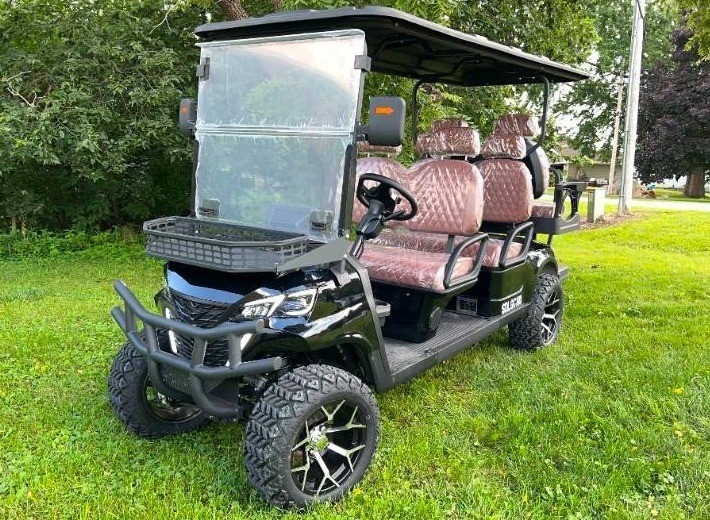 2026 SDLANCH 6-Person Electric Golf Cart (SDLGC100)
