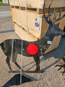 2026 - Unused - ZJZ - Shooting target