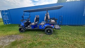 2026 - Unused - FUTURE - Off-Road Golf Cart - FT-GC42S