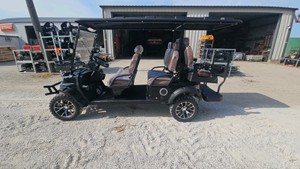 2026 - Unused - FUTURE - Off-Road Golf Cart - FT-GC42S