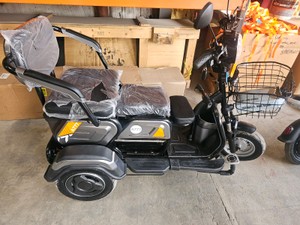2026 - Unused - FUTURE - Electric tricycle - FT-D3