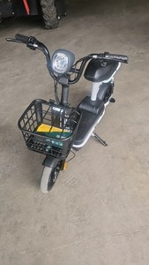 2026 - Unused - FUTURE - Electric bicycle - FT-E48