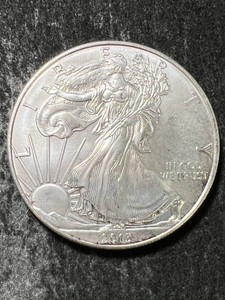 2013 AMERICAN SILVER EAGLE 1 TROY OZ .999 FINE SILVER