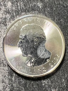 2025 CANADIAN MAPLE LEAF 1 TROY OZ .9999 FINE SILVER