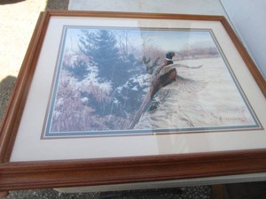 Ringneck Pheasant Print by Julie Crocker