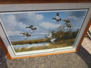 Greenhead Country by David Maass